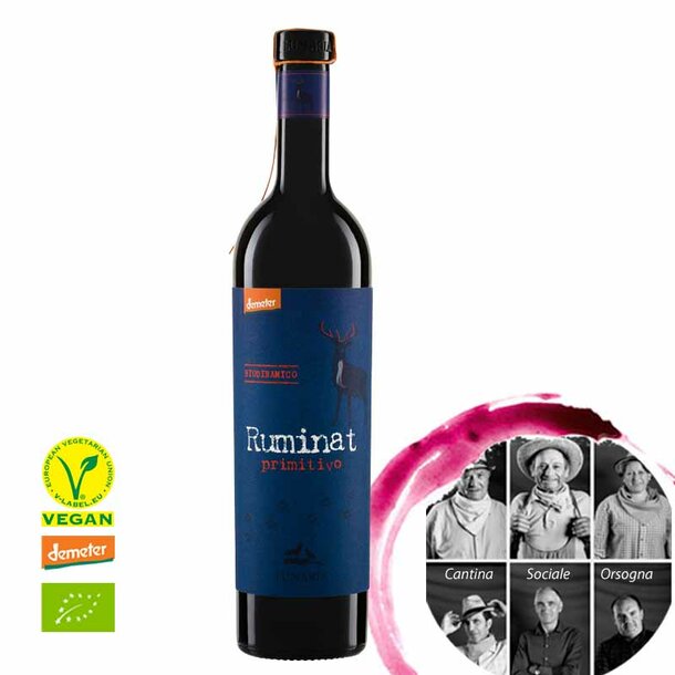 Ruminat Primitivo Terre di Chieti IGP, Bio, Demeter