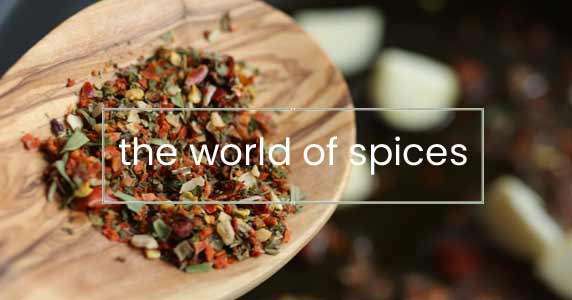 mediterranean spices and seasoning